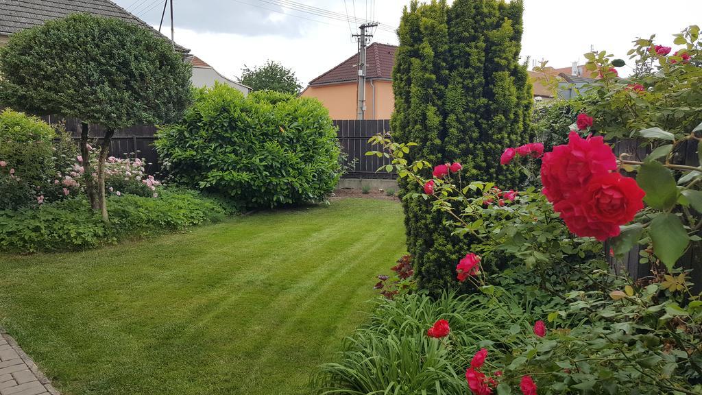 Villa Rozarka Stare Mesto  Exterior foto